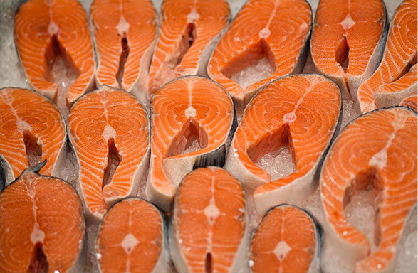 fresh salmon on ice