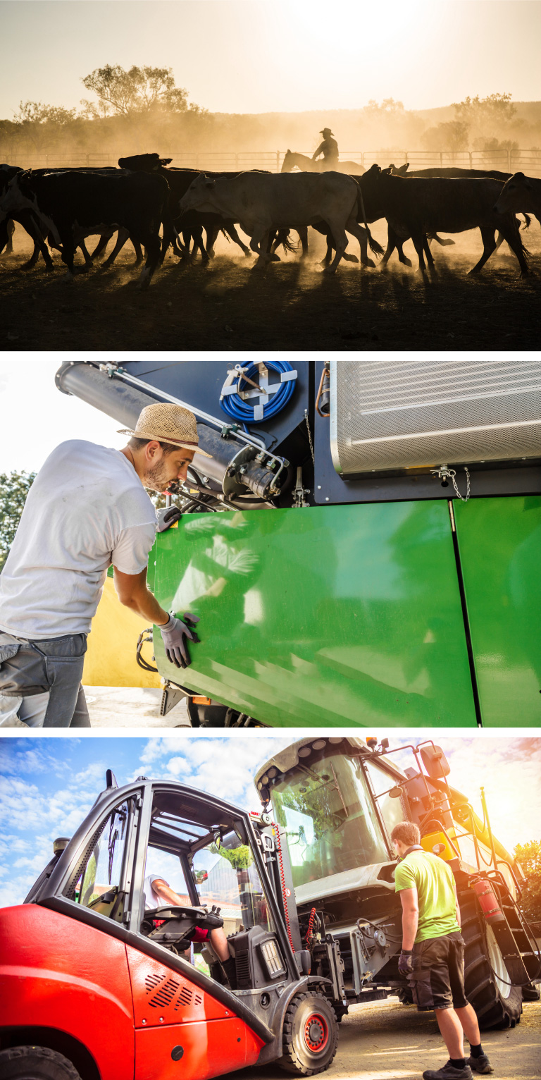 cattle and farm machinery