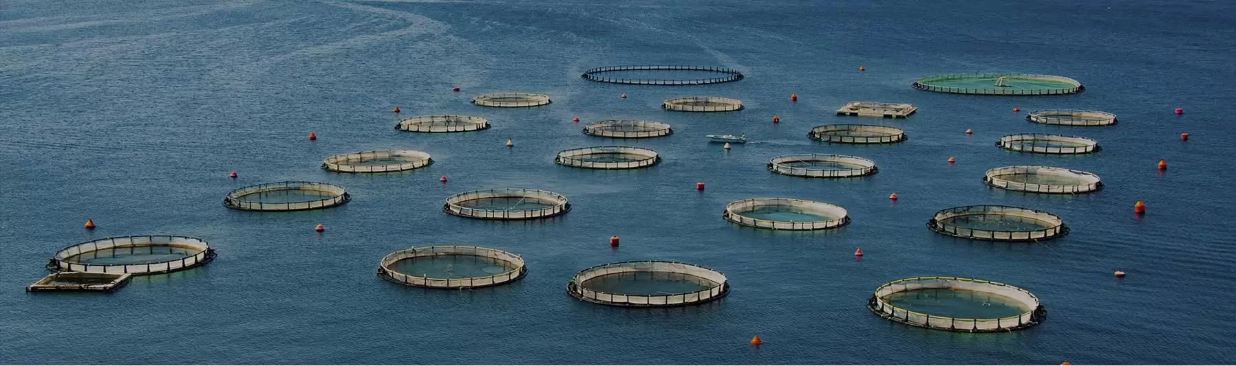 aquaculture farm
