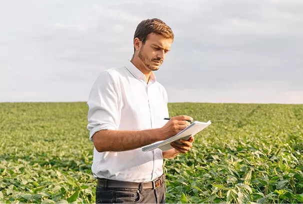 checking form in cropfield