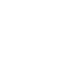 icon resellers