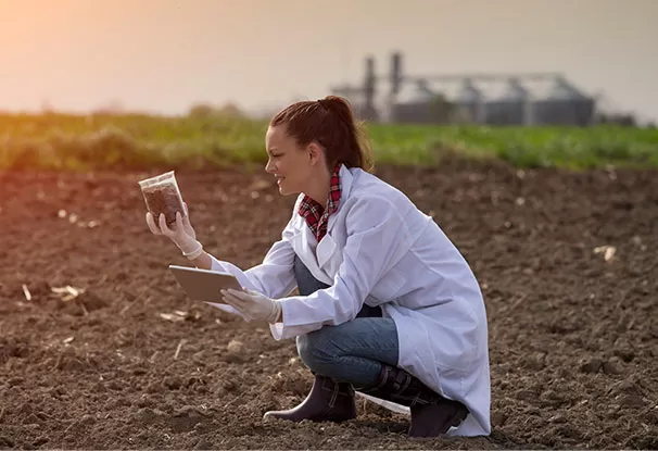 lady inspecting soil sample