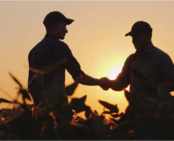 two people shaking hands