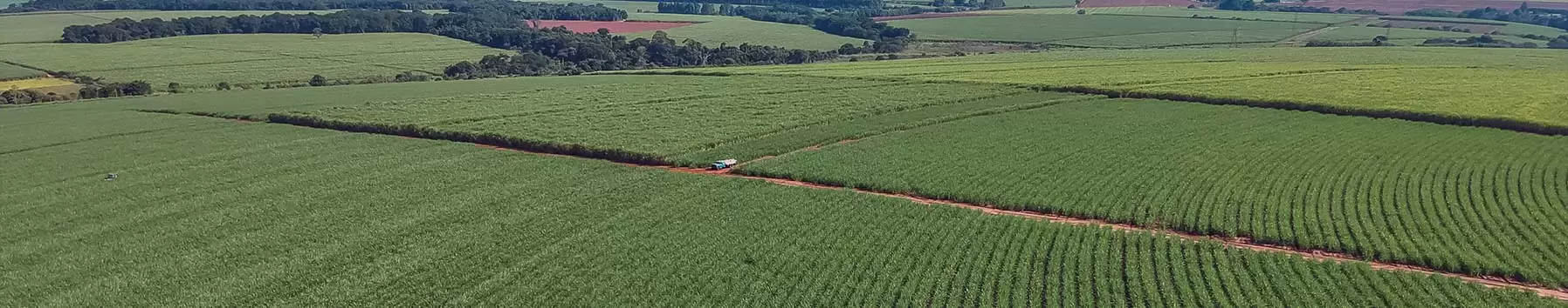 crop field