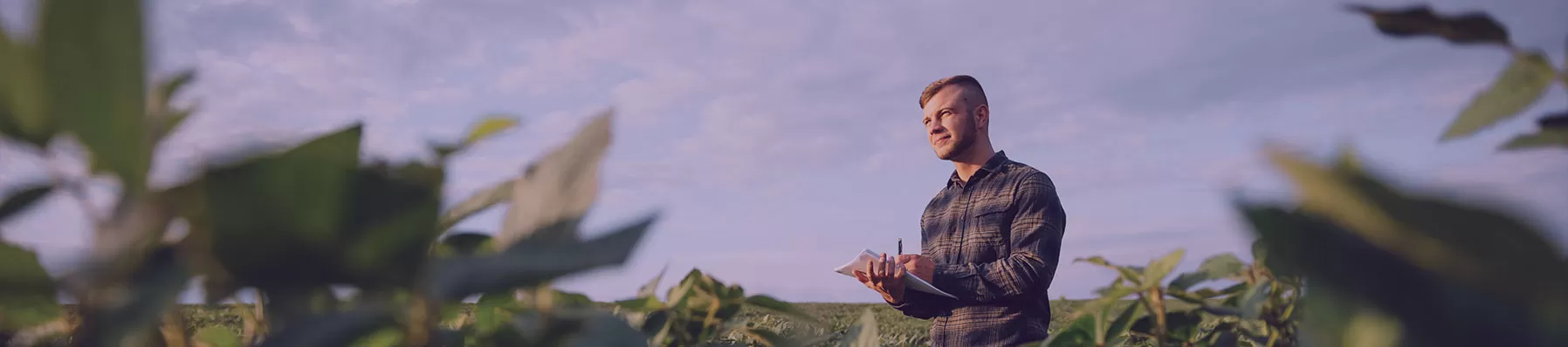 crop field inspection