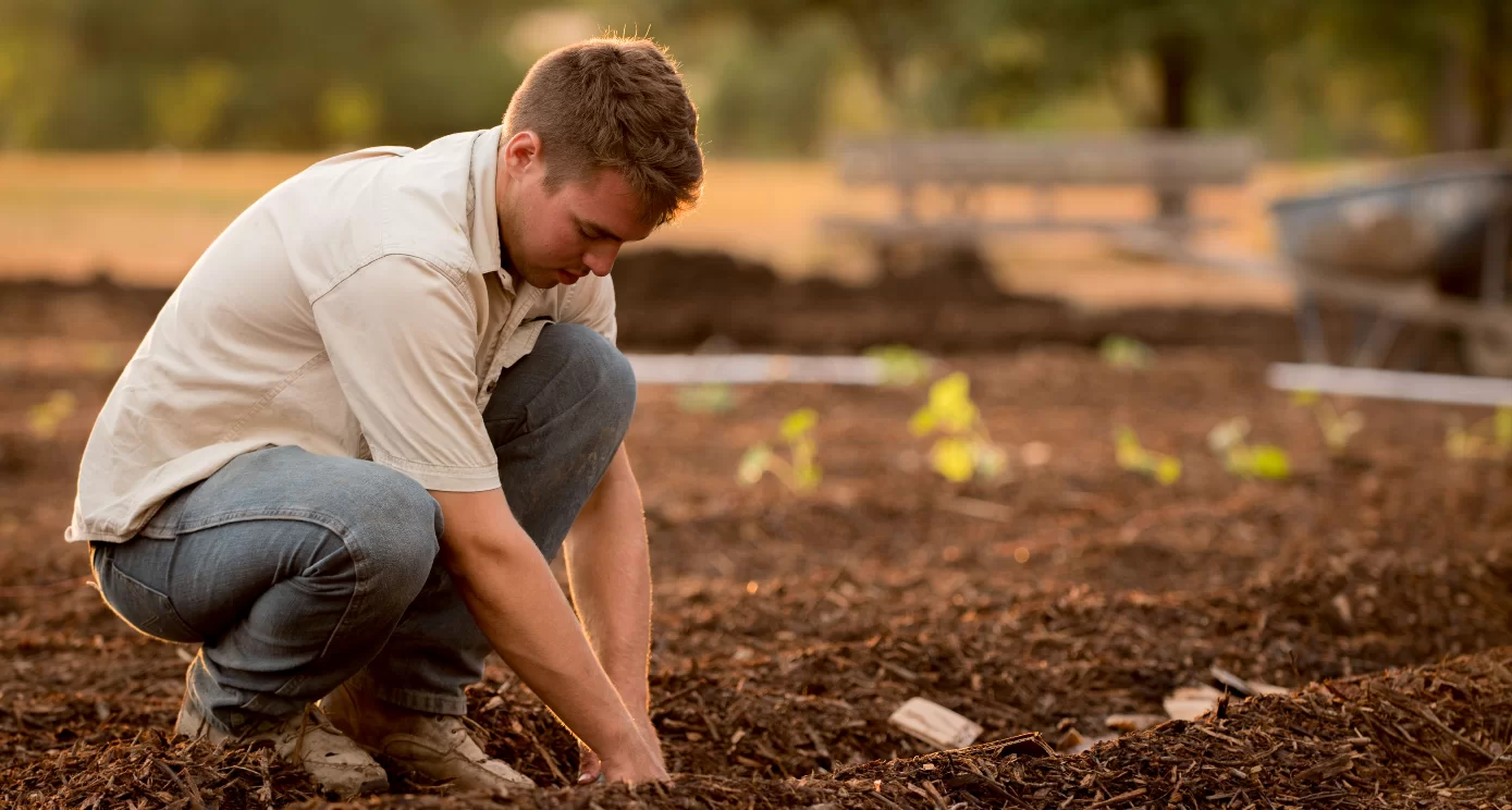 farmer