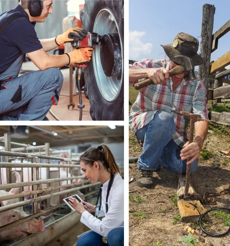 fixng truck wheel and checking pigs