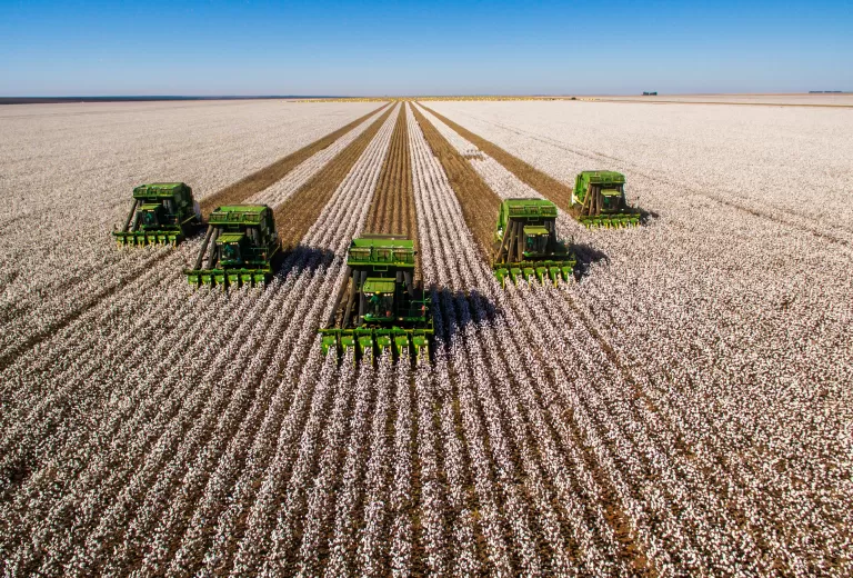 truck harvesting