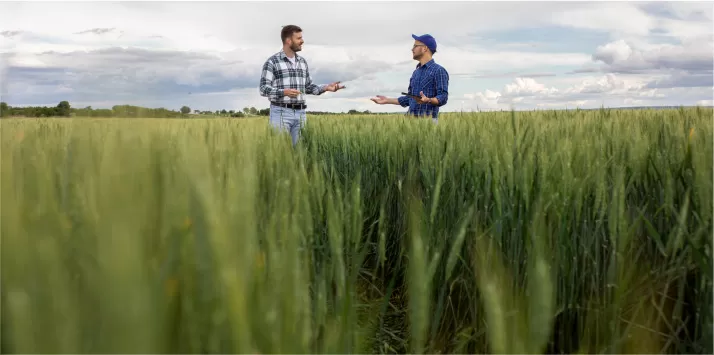 farmers talking in field