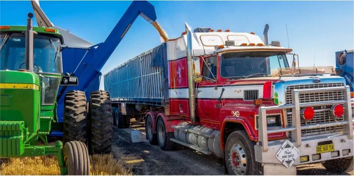 Grain loaded onto truck