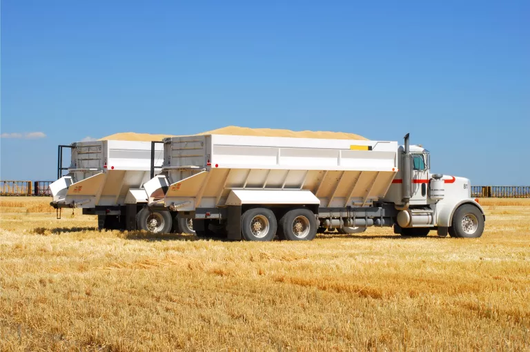Two Trucks with Grains
