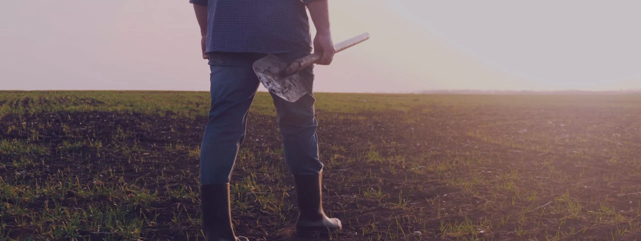 Man with Shovel