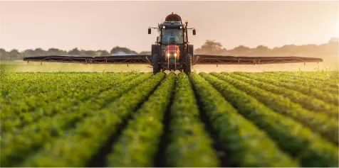 plants being irrigated