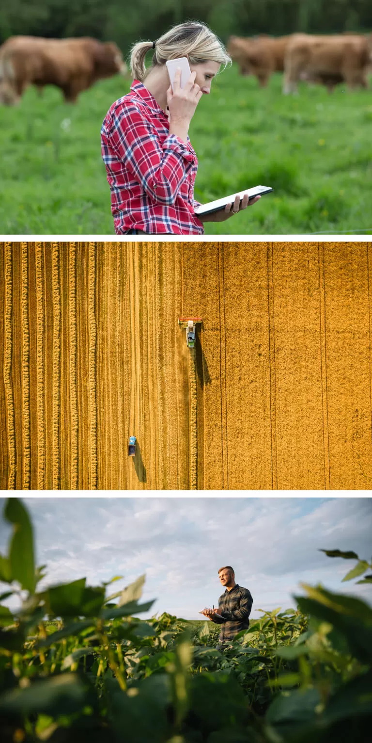 people in a farm