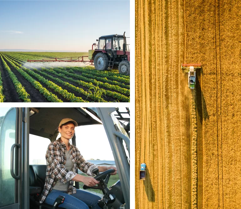 Truck Watering Plants and Women Driving