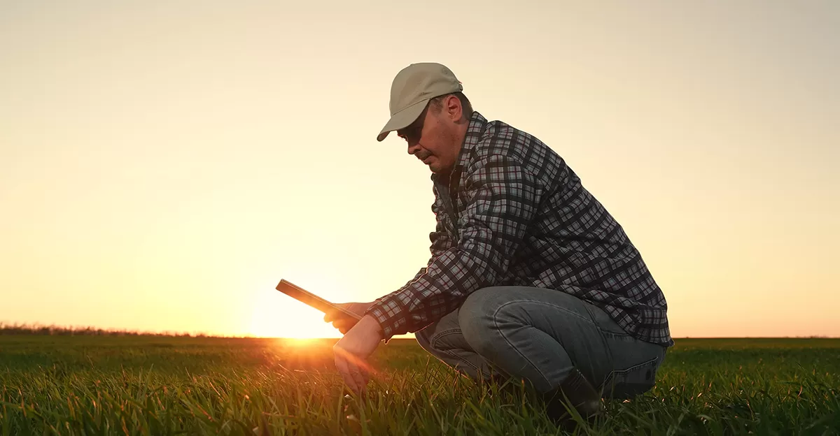 Grain farmer looks to data to measure crop yield on broadacre farming operation.