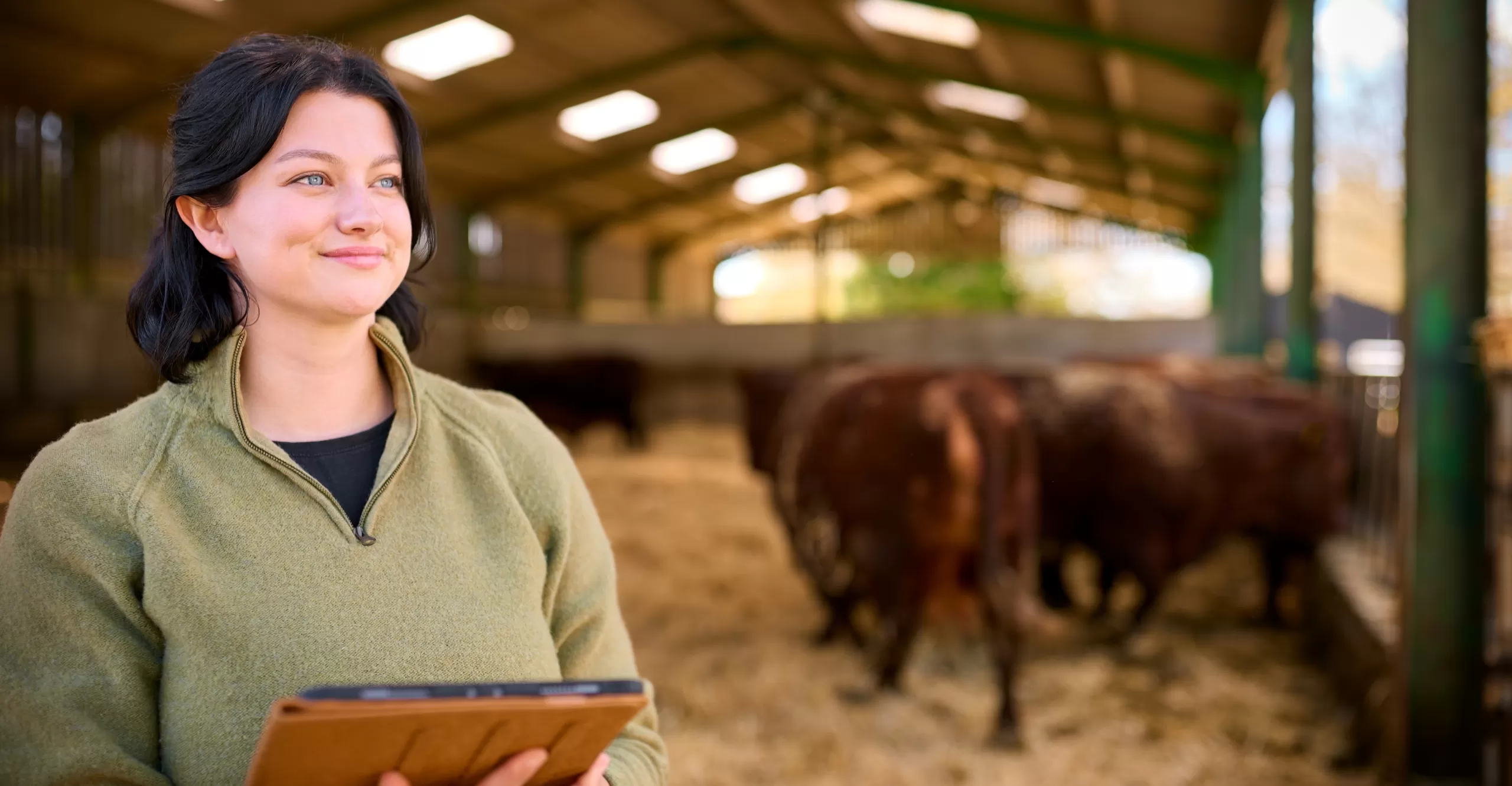 modern agriculture