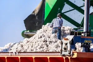 A technician managing heavy harvesting machinery filled with cotton, showcasing the specialized, high-risk technical roles that require proactive workforce planning.