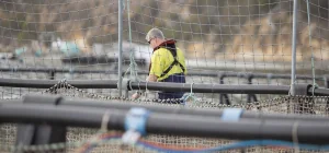 An aquaculture farm worker wearing safety gear inspects a sea-based fish pen, highlighting the specialized operational labor needed in regional Australia.