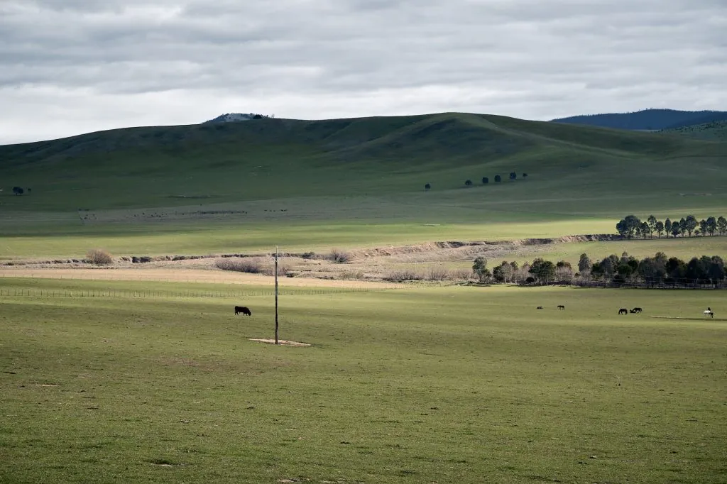 AgriTalent supports agribusiness growth plans 